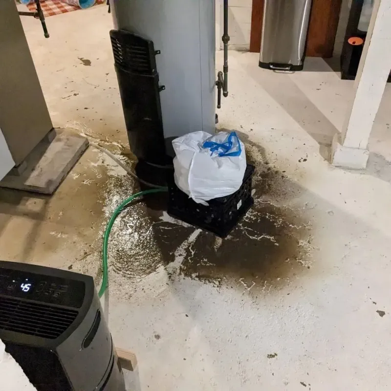 Sewage Backup Cleanup Service in Dauphin County, PA